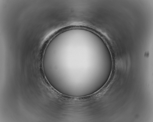 X0000089721311200706210844
