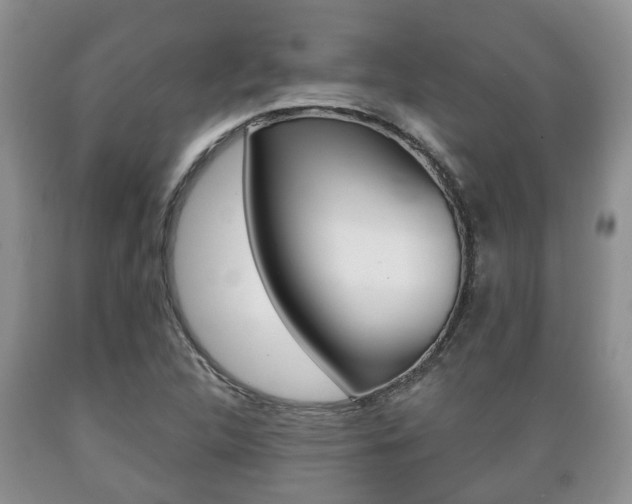 X0000089721312200706210845