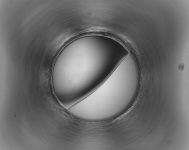X0000089721313200706210845
