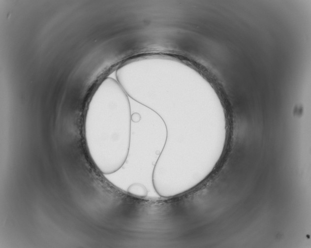X0000089721314200706210845