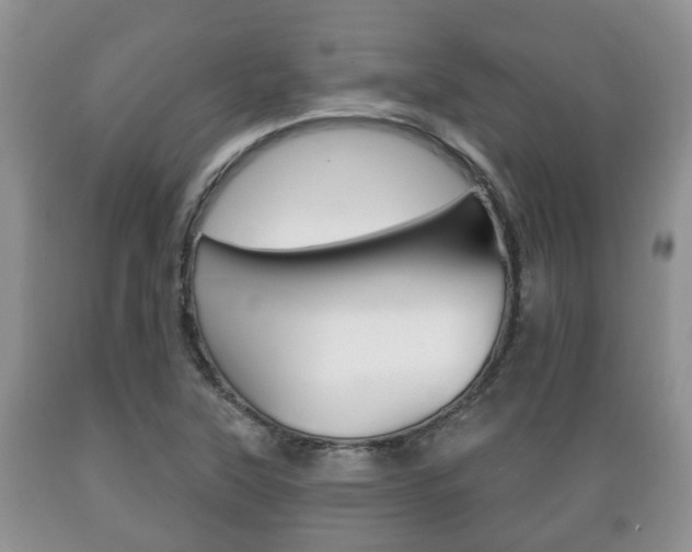 X0000089721315200706210845