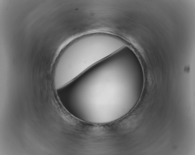 X0000089721316200706210845
