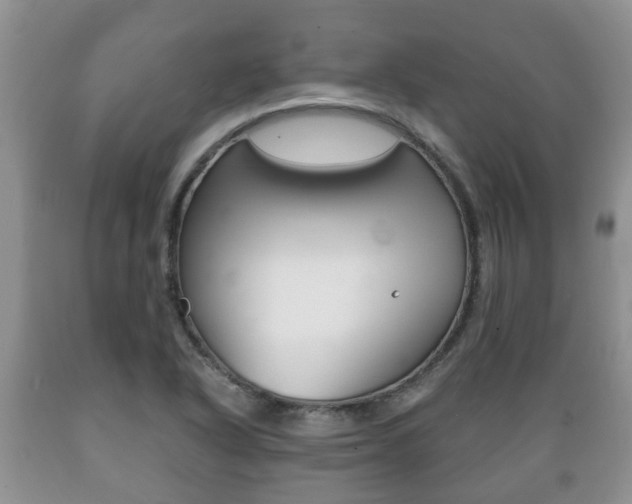 X0000089721318200706210845