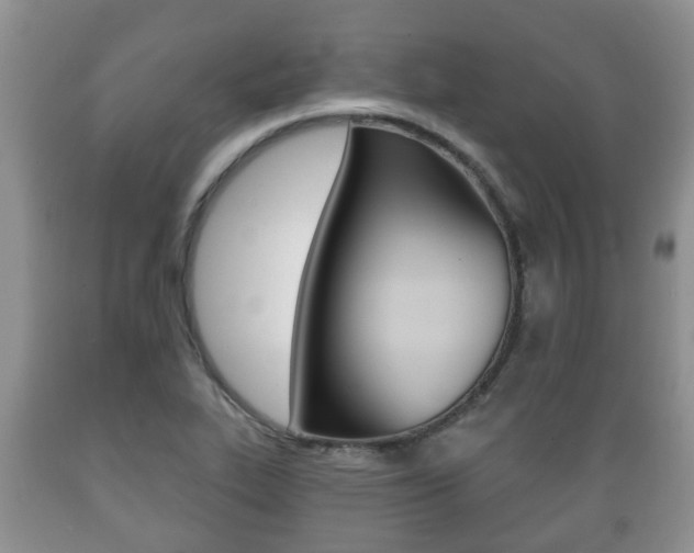 X0000089721319200706210845