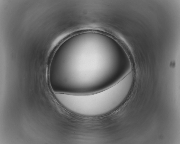 X0000089721320200706210845