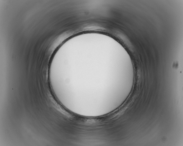 X0000089721322200706210845