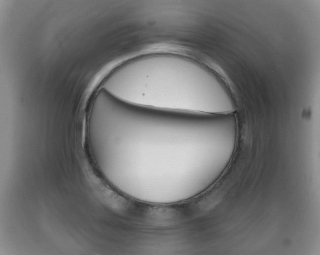 X0000089721323200706210845