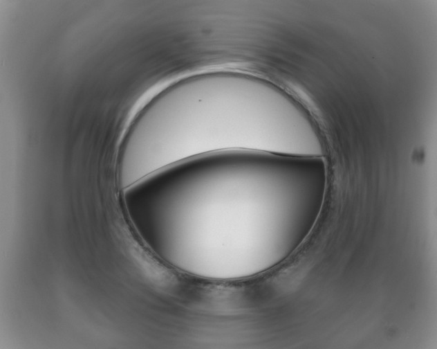 X0000089721324200706210845