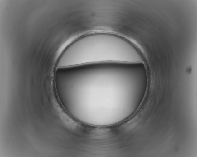 X0000089721325200706210845