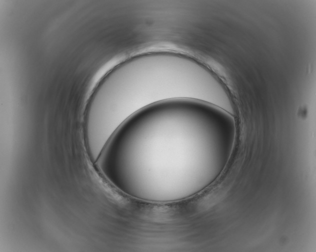 X0000089721326200706210845