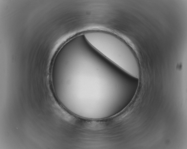 X0000089721327200706210845