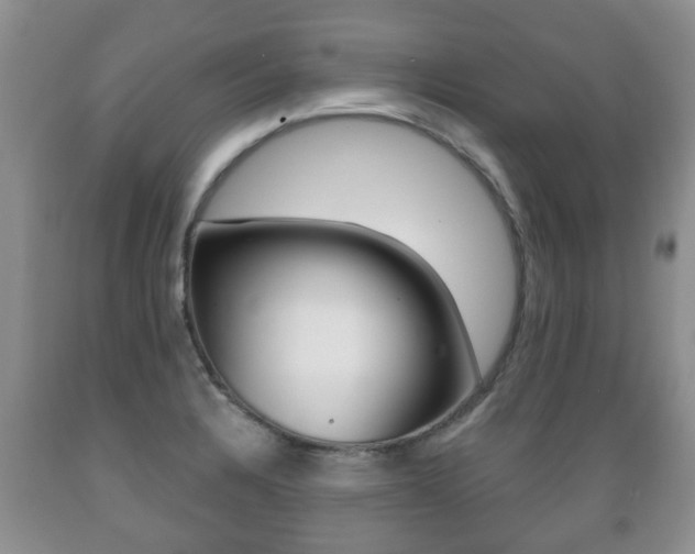 X0000089721328200706210845