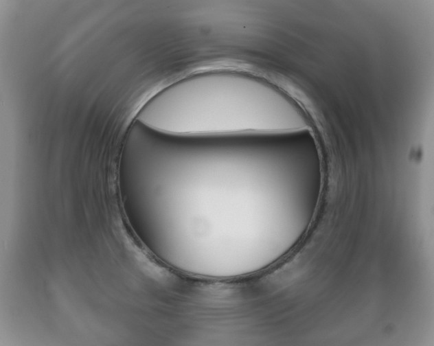 X0000089721329200706210845