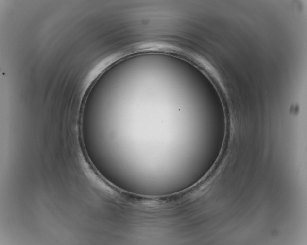 X0000089721330200706210845