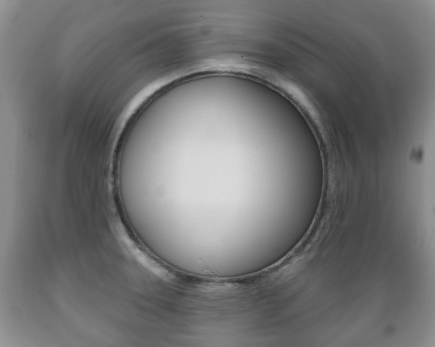 X0000089721331200706210845