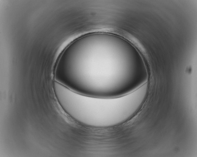 X0000089721332200706210845