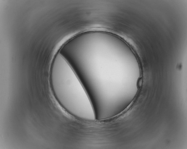 X0000089721333200706210845