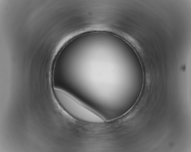 X0000089721334200706210845