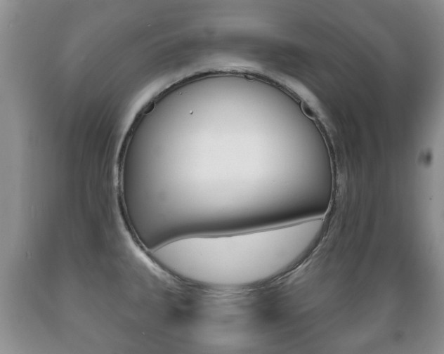 X0000089721335200706210845