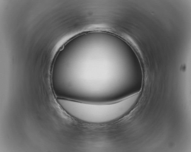 X0000089721336200706210845