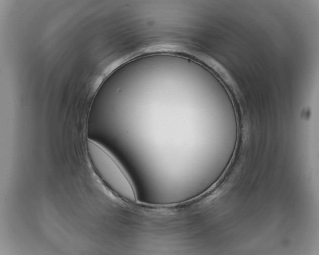 X0000089721337200706210845
