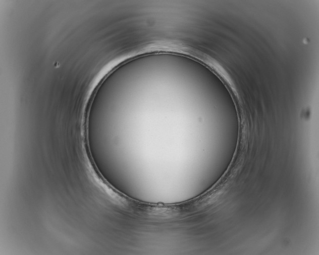 X0000089721339200706210845