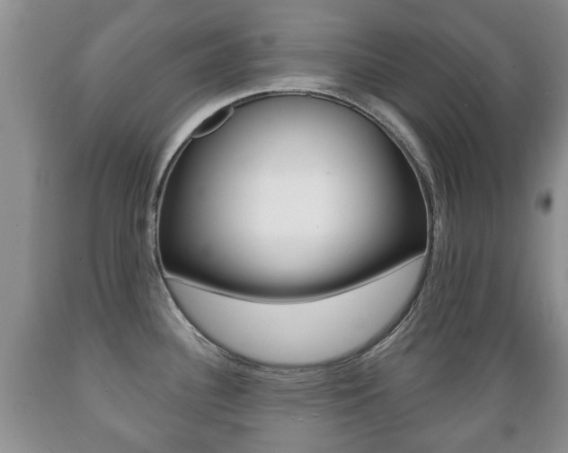 X0000089721340200706210845