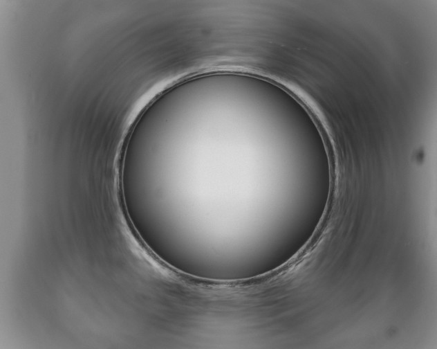 X0000089721341200706210845