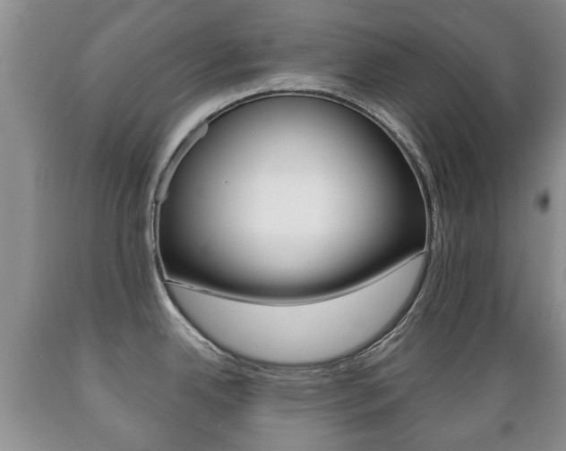 X0000089721342200706210845