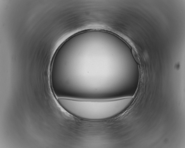 X0000089721343200706210845