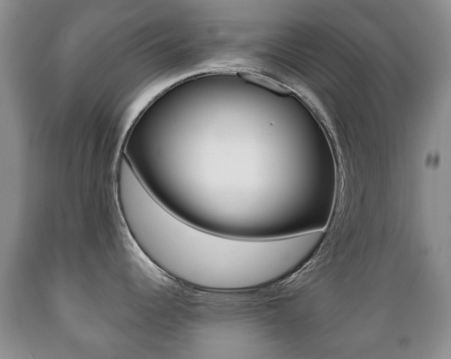 X0000089721344200706210845