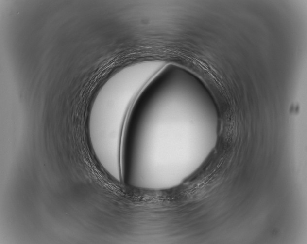 X0000089721345200706210844