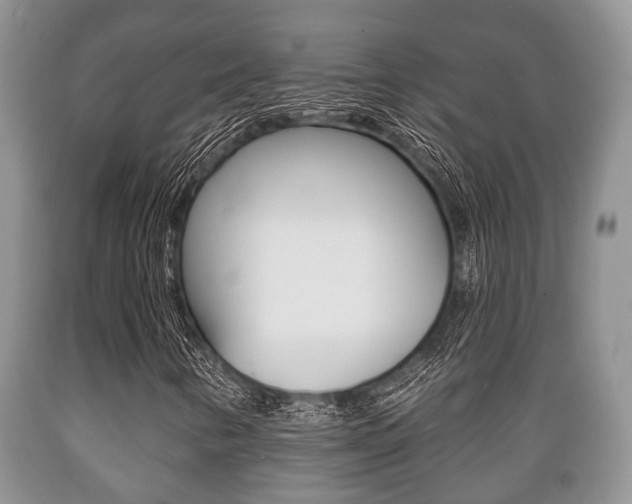 X0000089721346200706210844