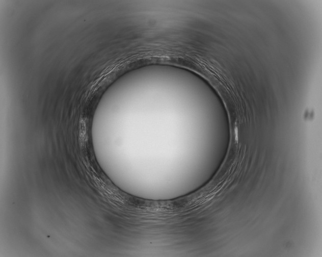 X0000089721347200706210844