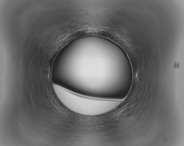 X0000089721348200706210844