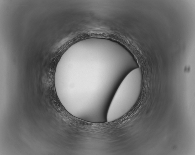 X0000089721350200706210844