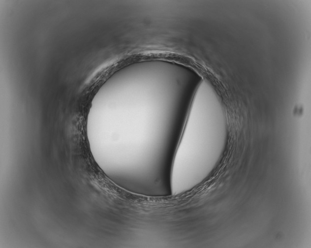 X0000089721351200706210844