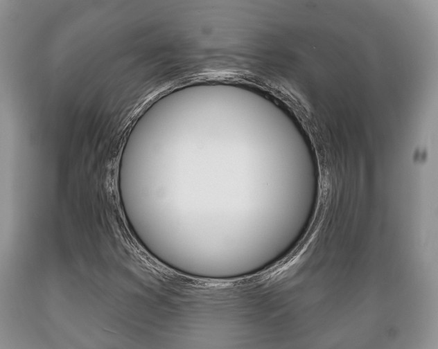 X0000089721353200706210844