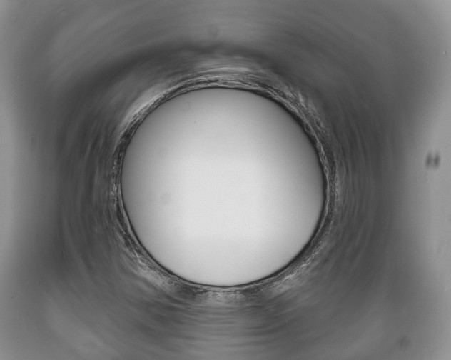 X0000089721354200706210844