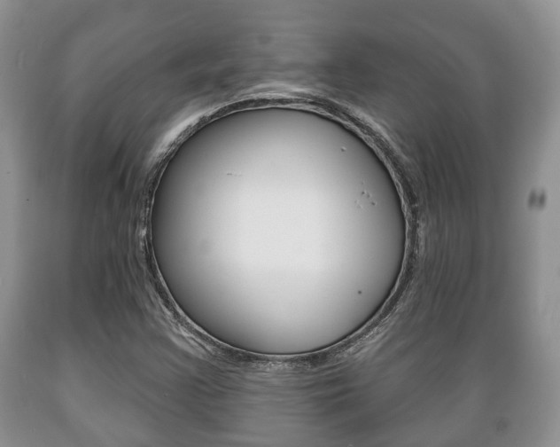 X0000089721355200706210844