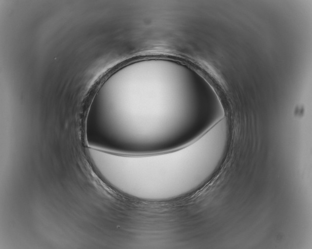 X0000089721356200706210844