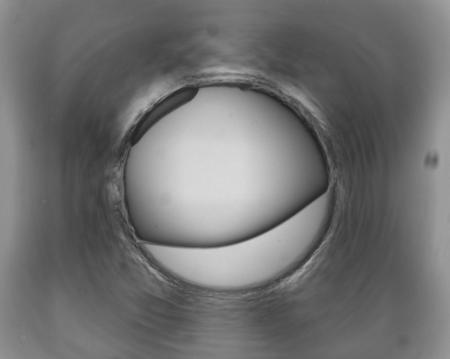 X0000089721357200706210844