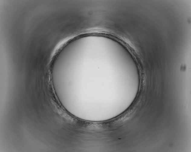 X0000089721358200706210844