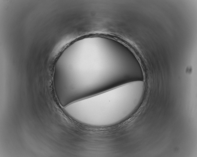 X0000089721359200706210844