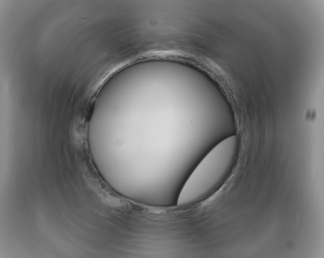X0000089721361200706210844
