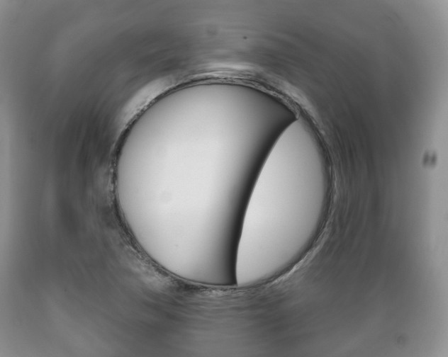 X0000089721362200706210844