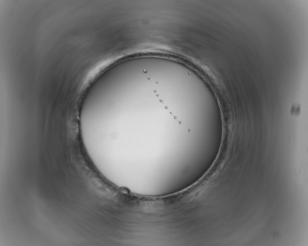 X0000089721363200706210844