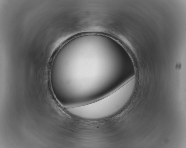 X0000089721364200706210844