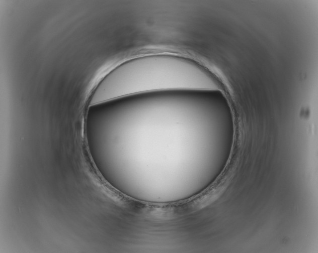 X0000089721365200706210844