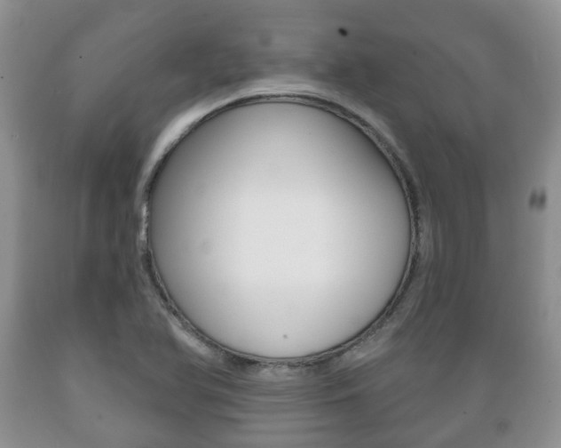 X0000089721366200706210844